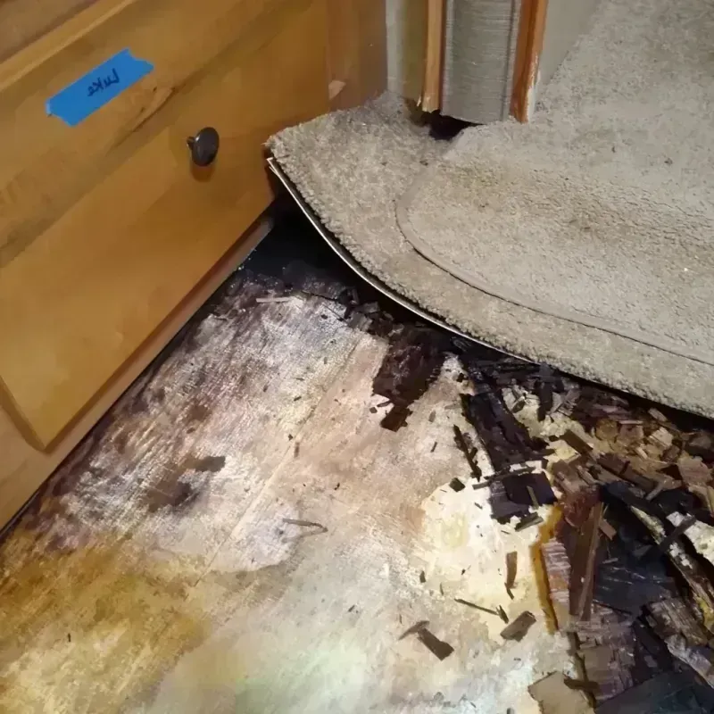 Wood Floor Water Damage in Rossford, OH